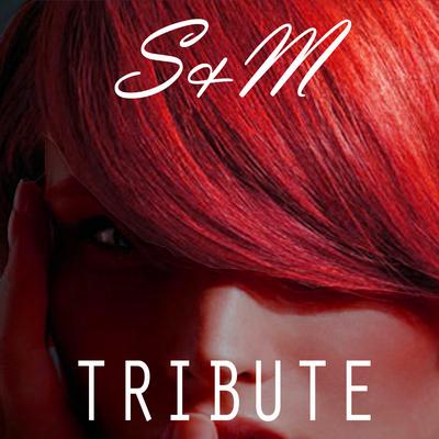 S&M (Rihanna Tribute) By Top 40 Hits's cover