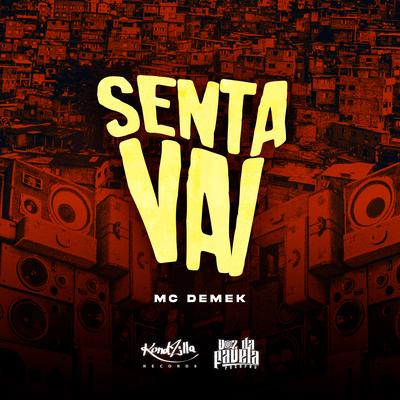 Senta Vai's cover