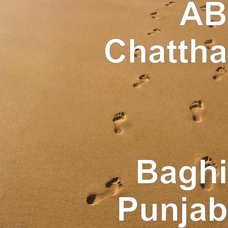 AB Chattha's avatar image