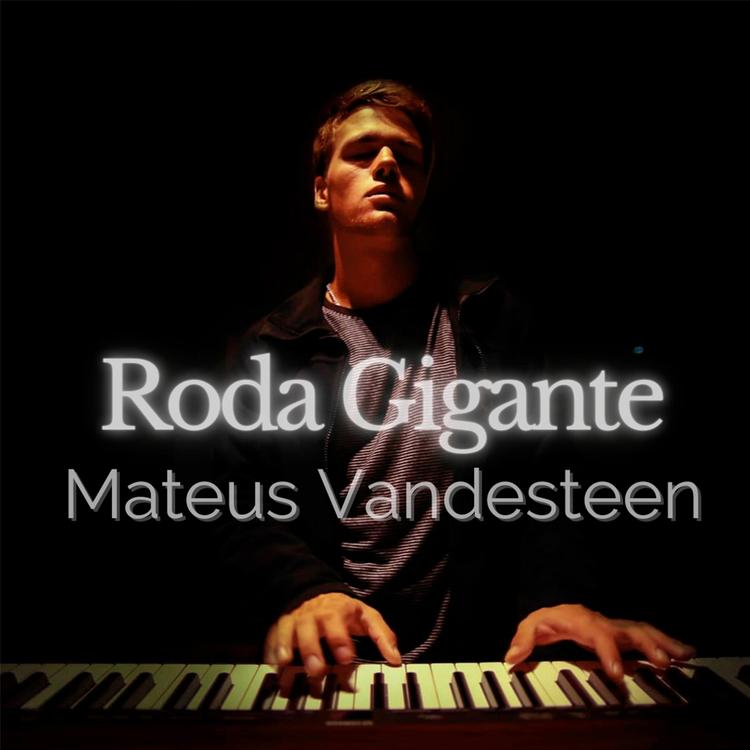 Mateus Vandesteen's avatar image