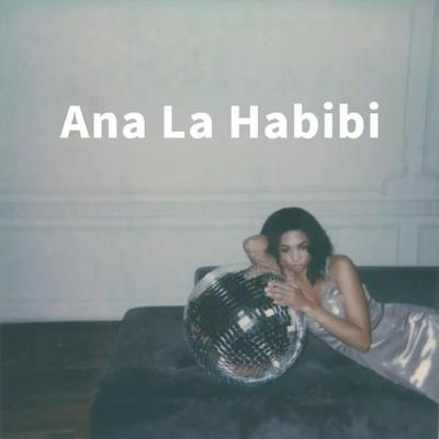 Ana La Habibi (Club Remix)'s cover