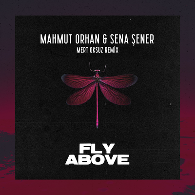 Fly Above (Mert Oksuz Remix) By Mahmut Orhan, Sena Şener's cover