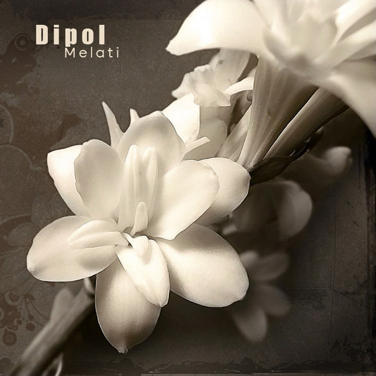 Dipol's avatar image