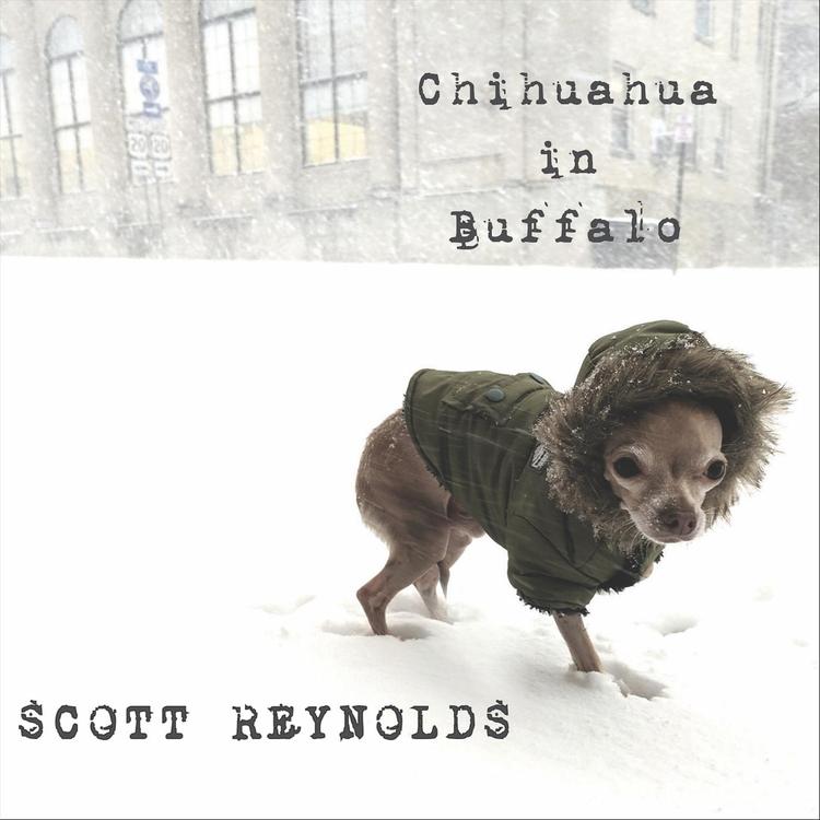 Scott Reynolds's avatar image