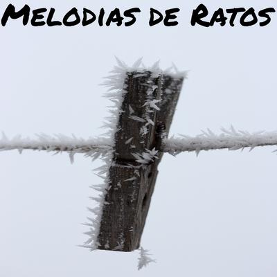 Melodias de Ratos's cover