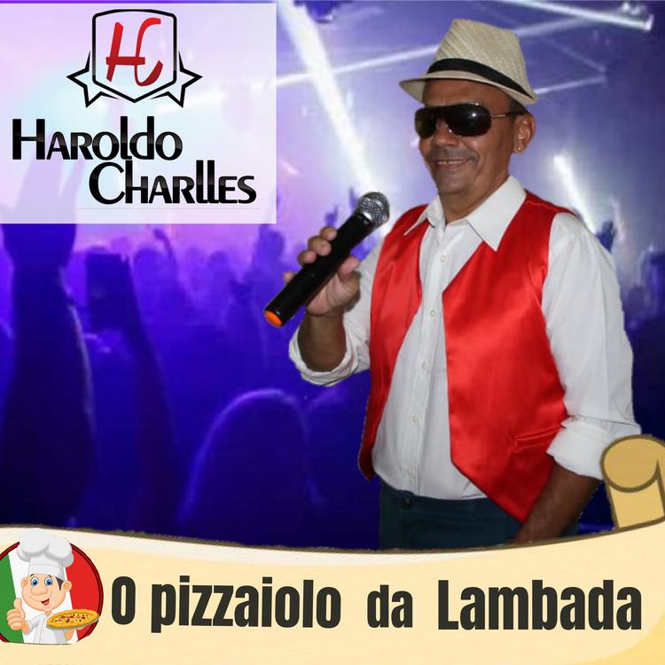 HAROLDO CHARLES O PIZZAIOLO DA LAMBADA's avatar image