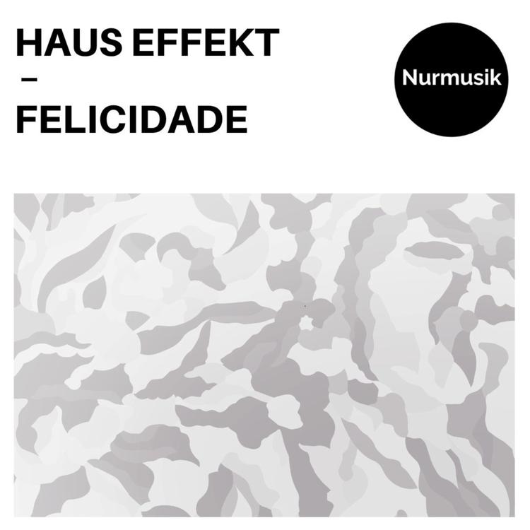 Haus Effekt's avatar image