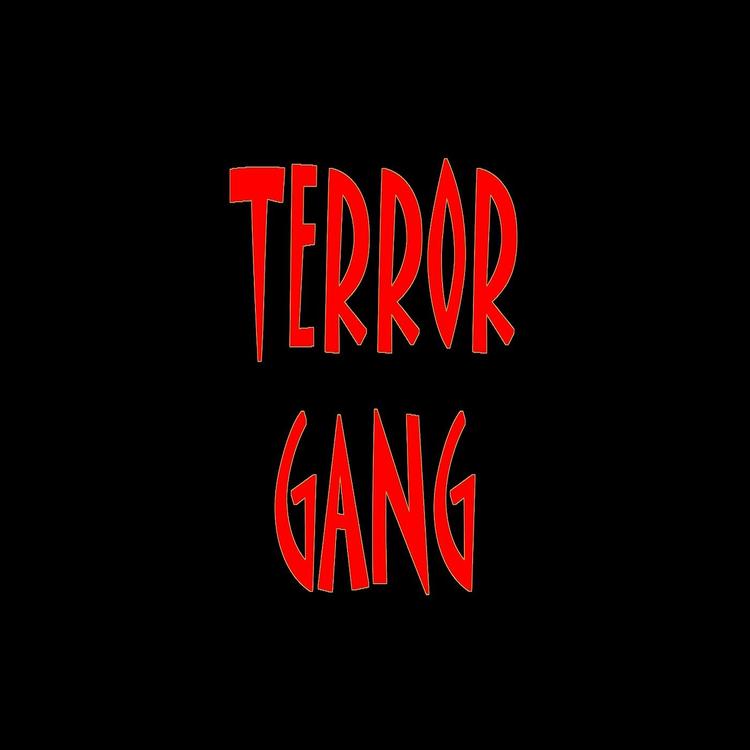 Terror Gang's avatar image