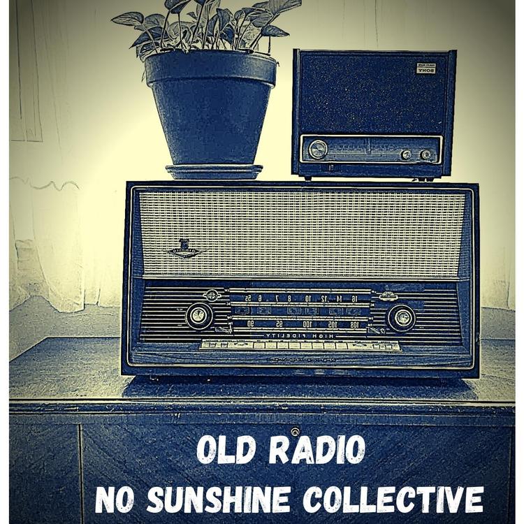 No Sunshine Collective's avatar image