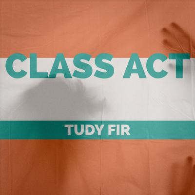 Tudy Fir's cover