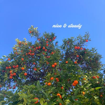 Nice & Steady EP's cover