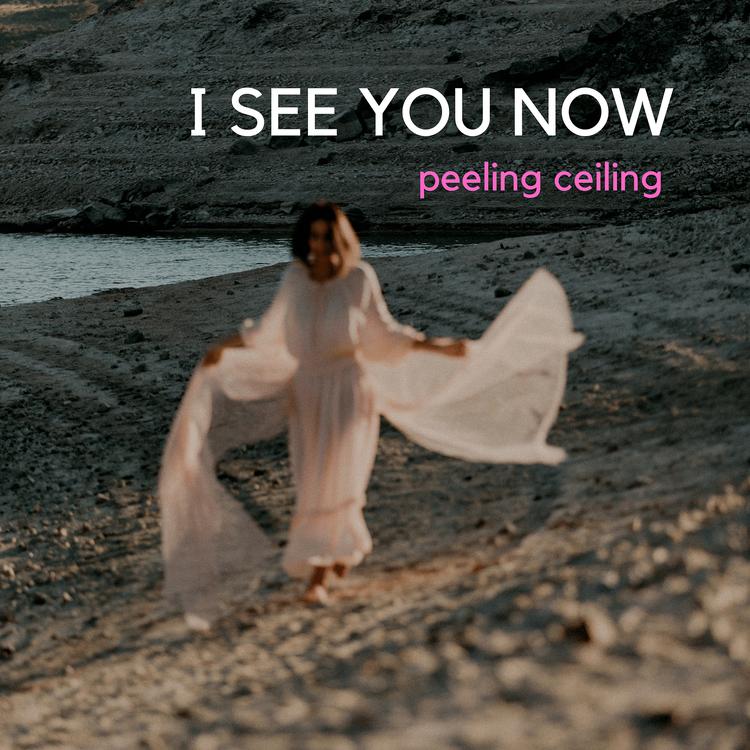 Peeling Ceiling's avatar image