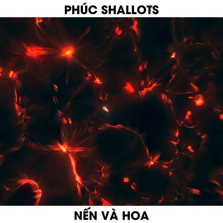 Phúc Shallots's avatar image