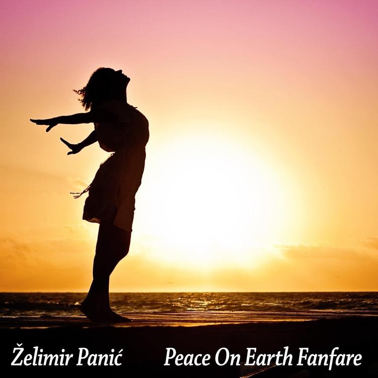 Zelimir Panic's avatar image