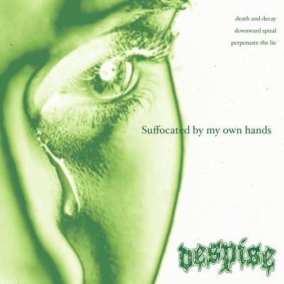 Despise's cover