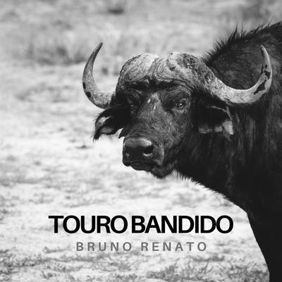 Touro Bandido's cover