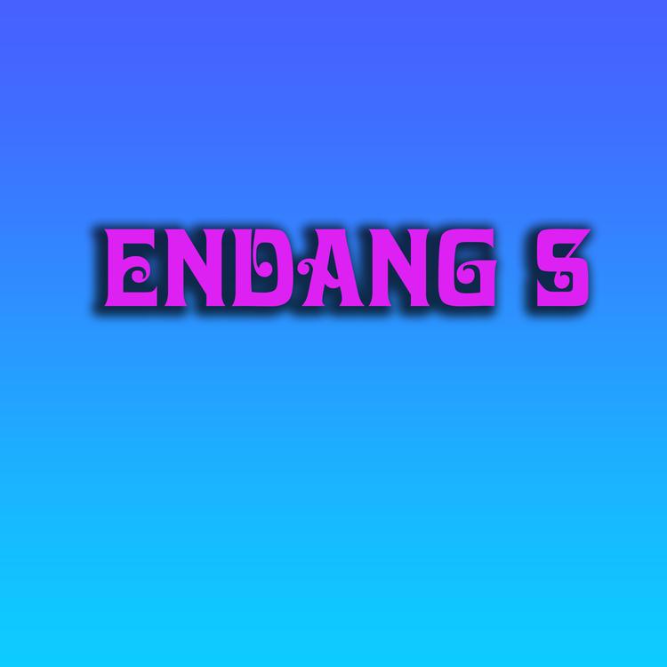 Endang S's avatar image