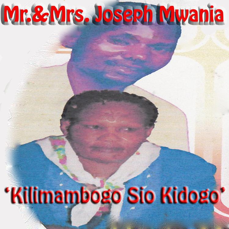 Mr & Mrs Joseph Mwania's avatar image