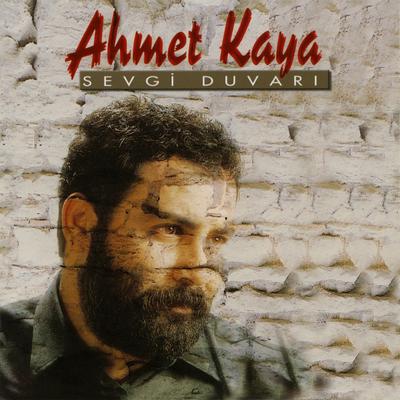 Kendine İyi Bak By Ahmet Kaya's cover