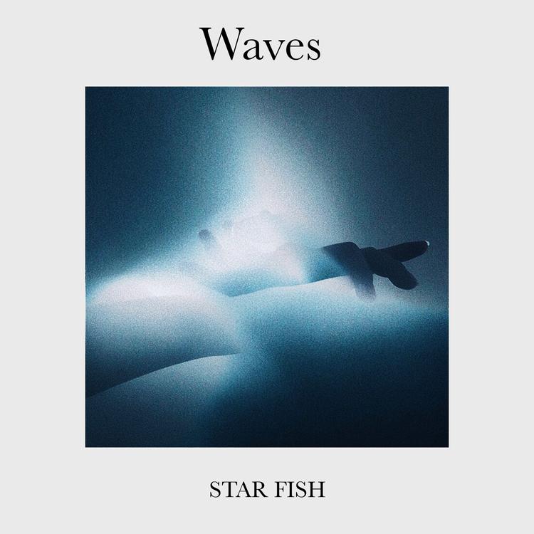 Star Fish's avatar image