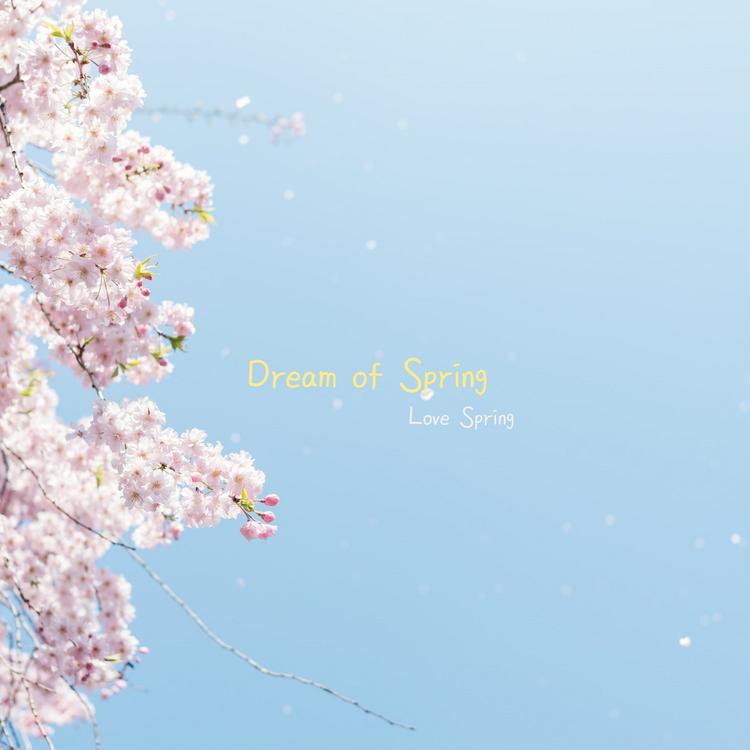 Love Spring's avatar image