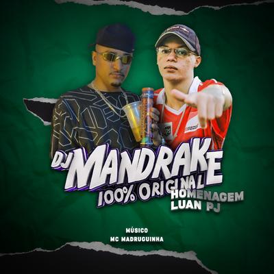 Homenagem Luan Pj By DJ Mandrake 100% Original, Mc Madruguinha's cover