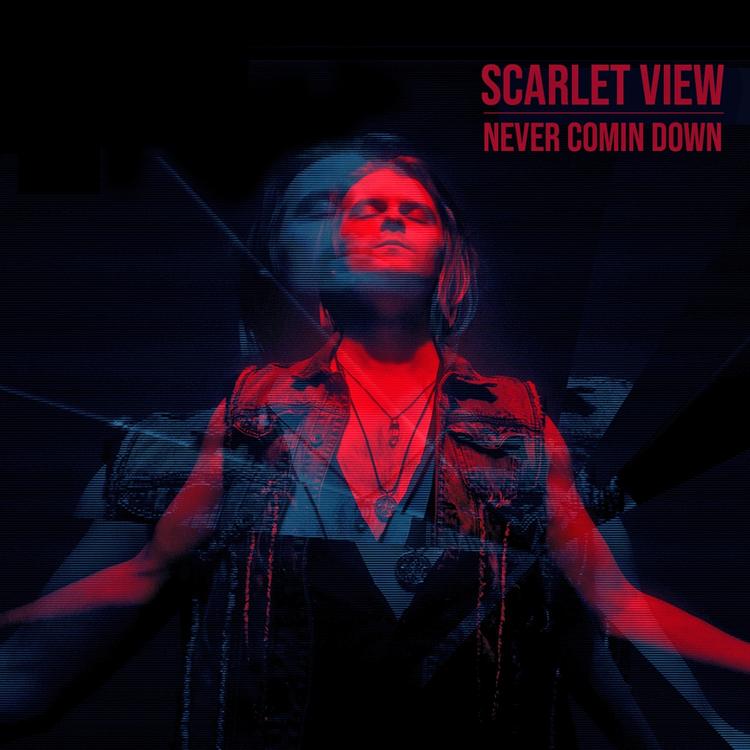 Scarlet View's avatar image