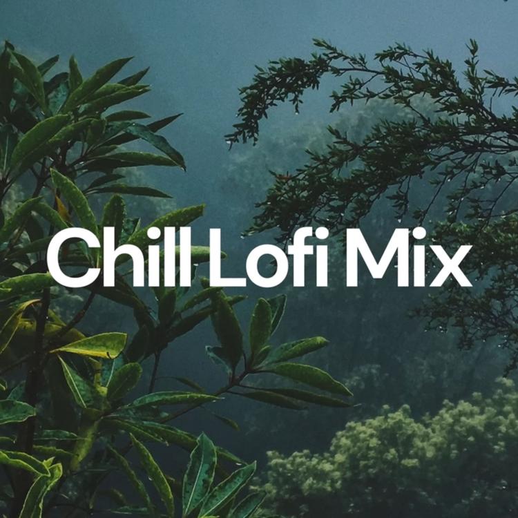 Lofi Mix's avatar image