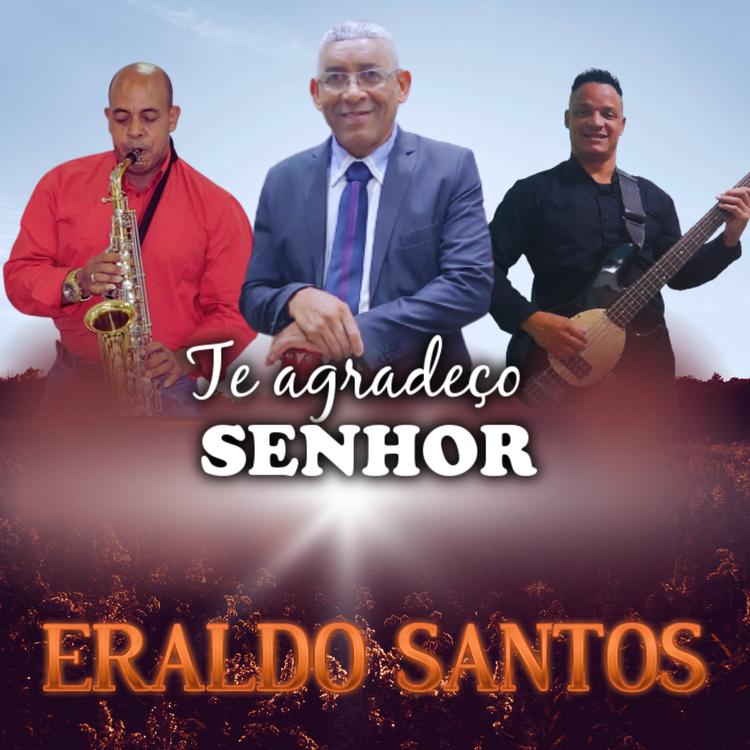 Eraldo Santos's avatar image