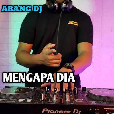 Mengapa Dia's cover