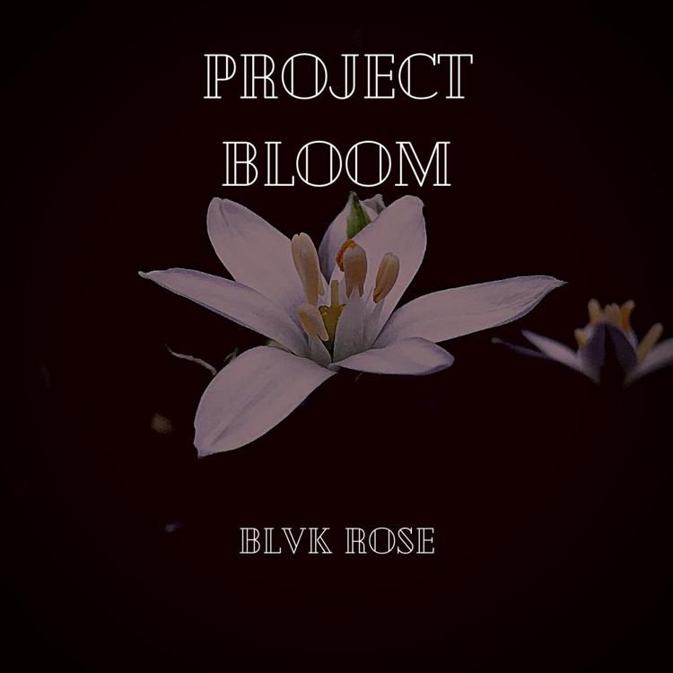 Blvk Rose's avatar image