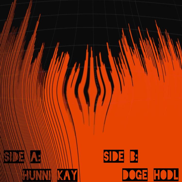 Duke Of Noise's avatar image