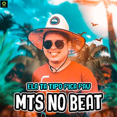 Ela Ta Tipo Pica Pau By MTS No Beat's cover