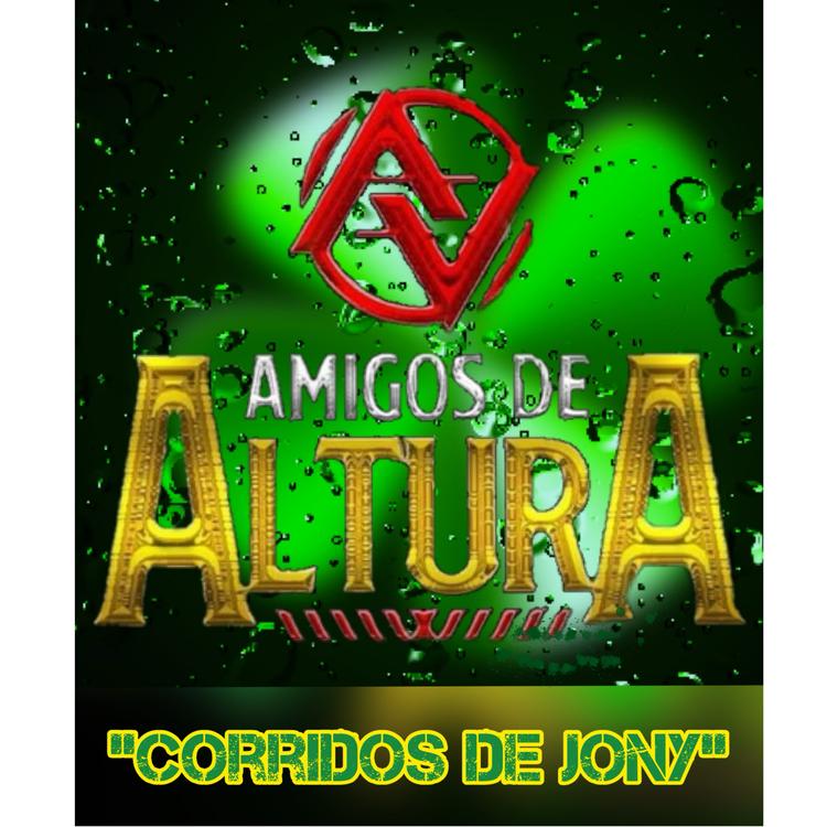 Amigos De Altura's avatar image