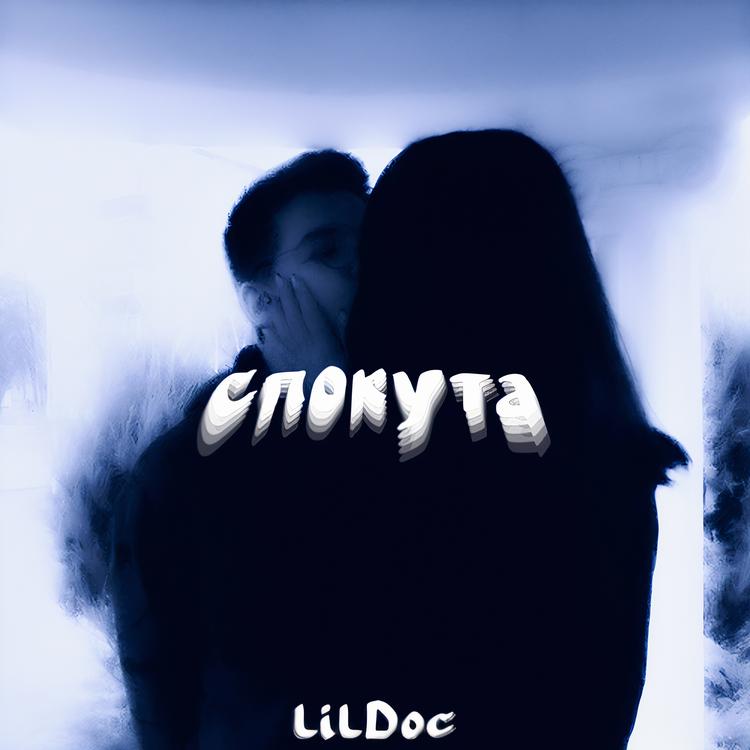 lilDoc's avatar image