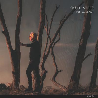 Small Steps's cover