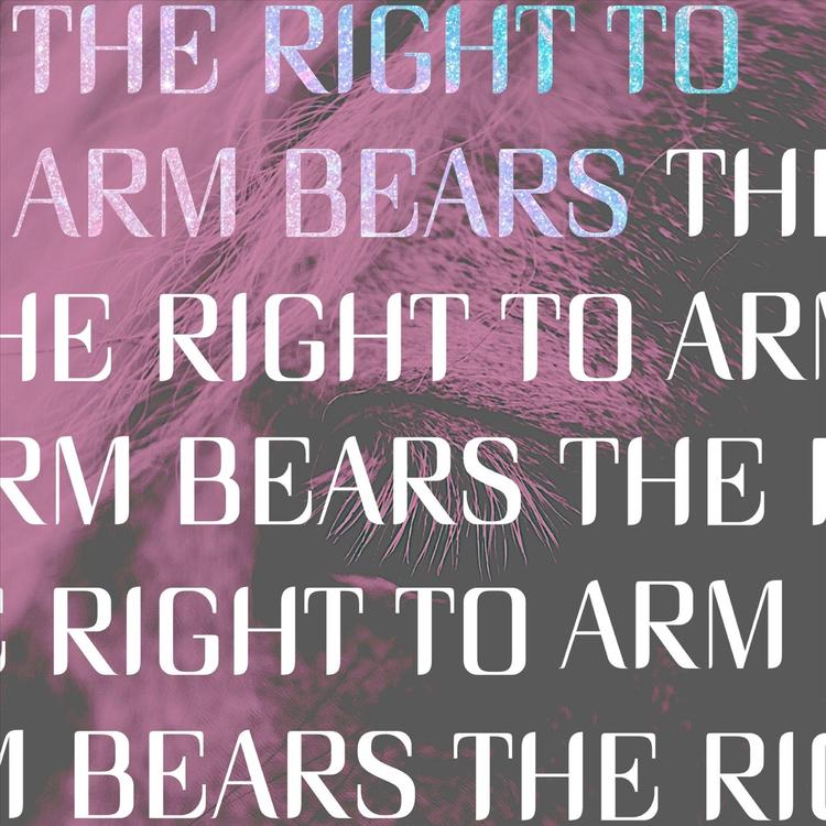 The Right to Arm Bears's avatar image