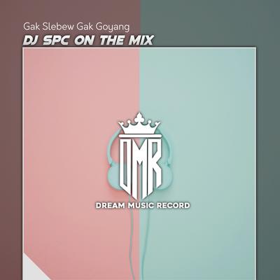 Gak Slebew Gak Goyang (Remix) By DJ Spc On The Mix's cover