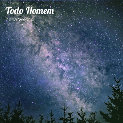 Todo Homem By Zeca Veloso's cover