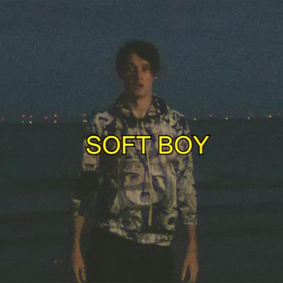 Soft Boy By Wilbur Soot's cover