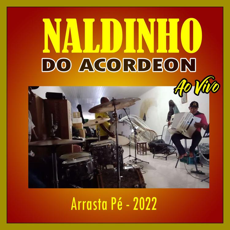 Naldinho do Acordeon's avatar image