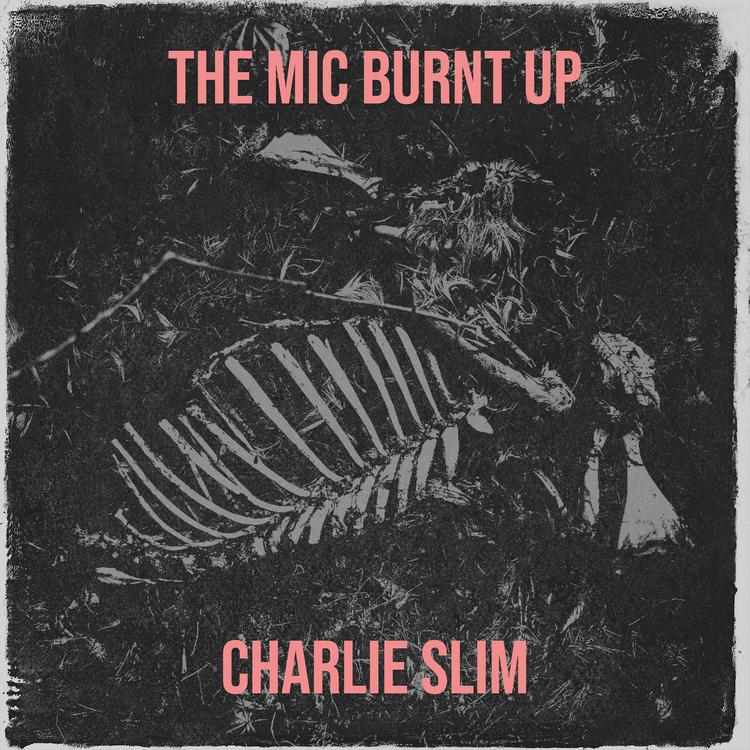 Charlie Slim's avatar image