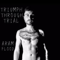 Aram Flood's avatar cover