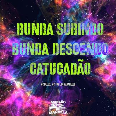 Bunda Subindo Bunda Descendo - Catucadão By Mc Delux, Mc Toy, DJ PAVANELLO's cover