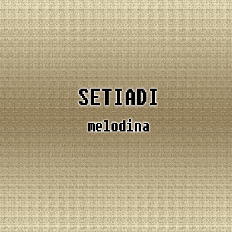 Setiadi's avatar image