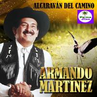 Armando Martínez's avatar cover