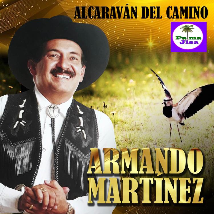 Armando Martínez's avatar image