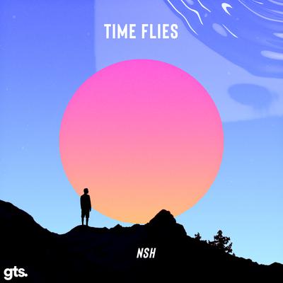 Time Flies By NSH's cover