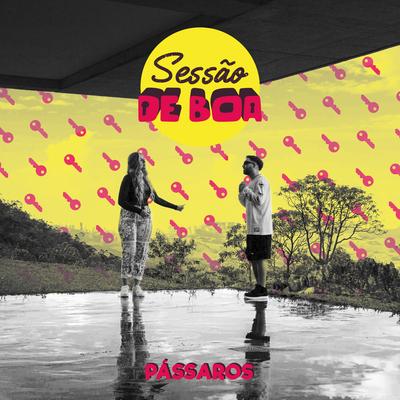 Pássaros (feat. Elana Dara) By SEST, Elana Dara's cover
