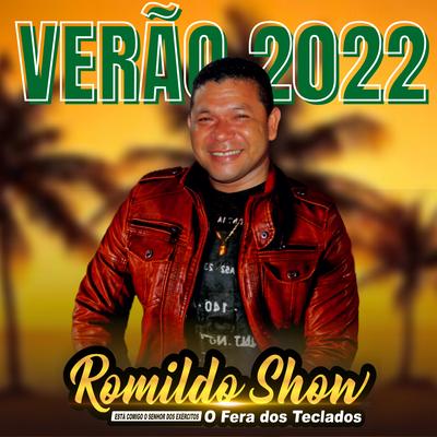 Volta Comigo Bebê (Ao Vivo) By Romildo Show's cover